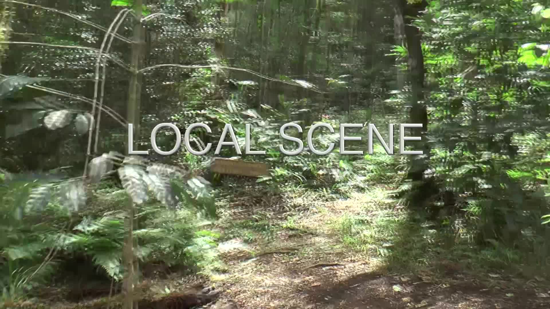 Hawai'i 21: Local Scene