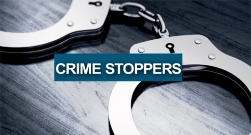 Crime Stoppers: January 2024 Preview