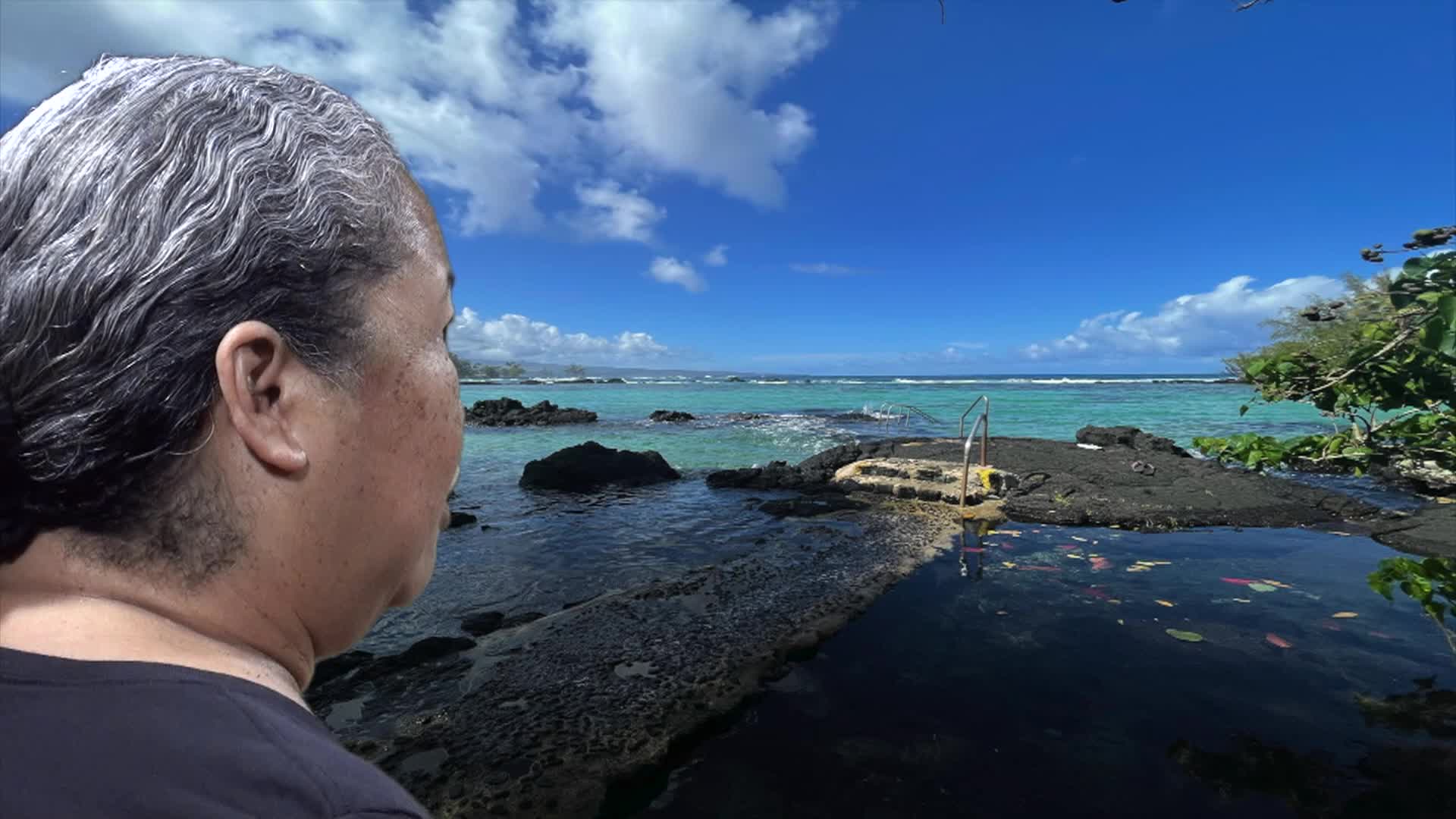 daVoice: Something from Nothing