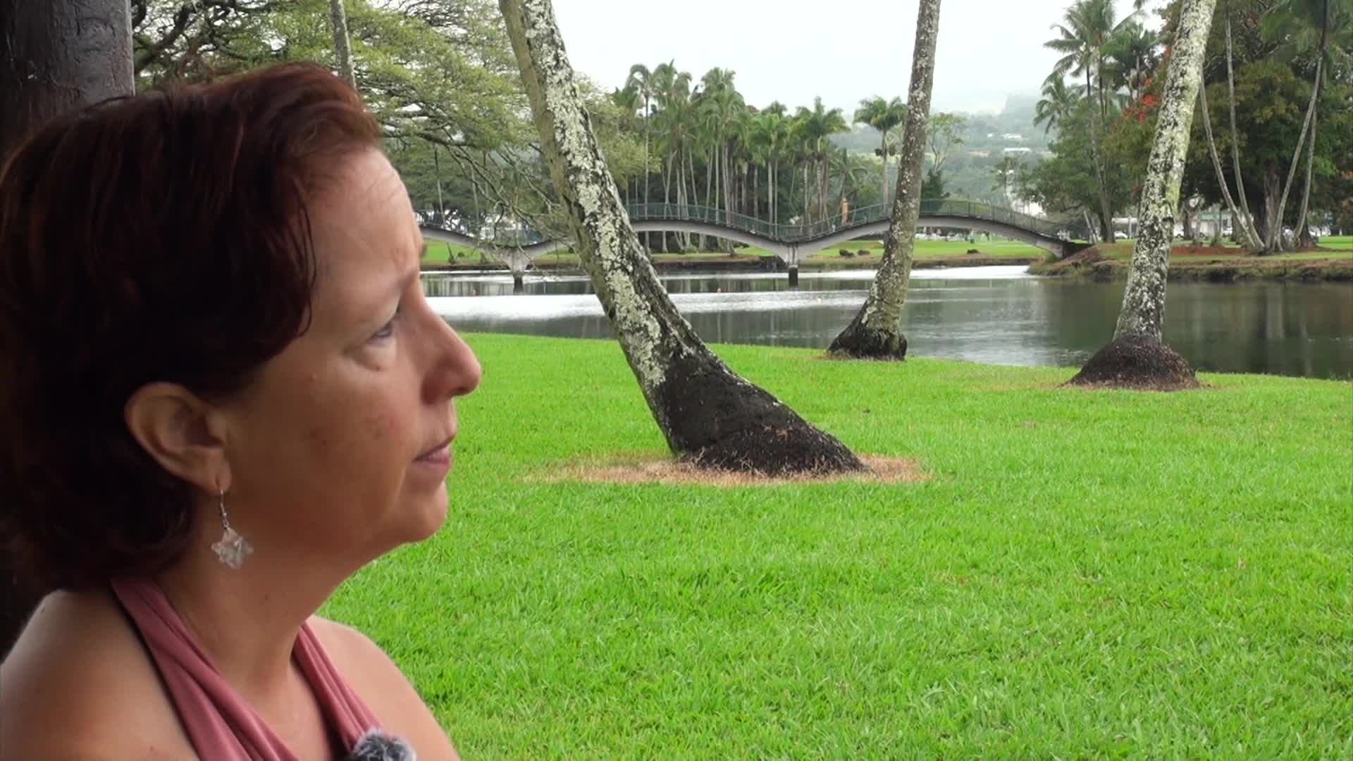 daVoice: The People's Power