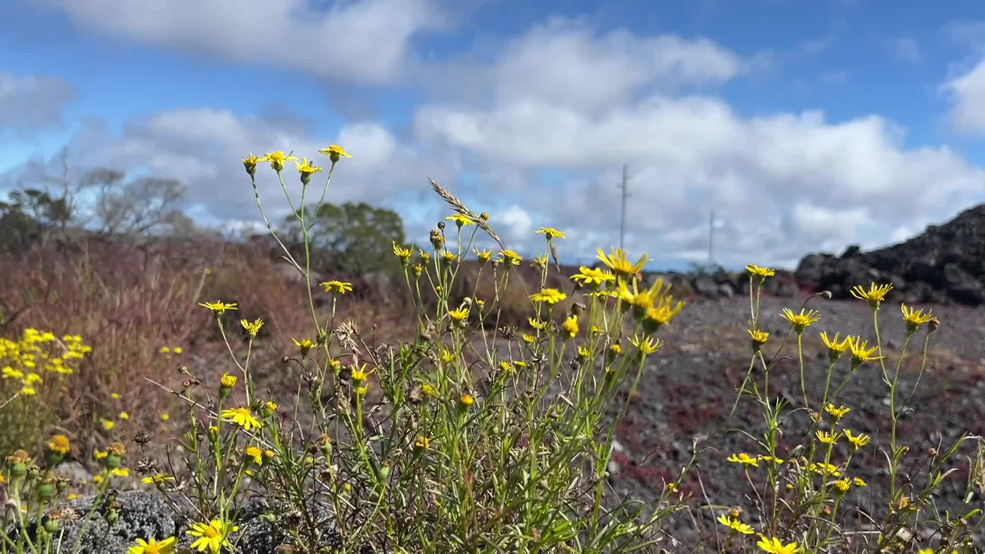 Just A Minute: Ep. 2