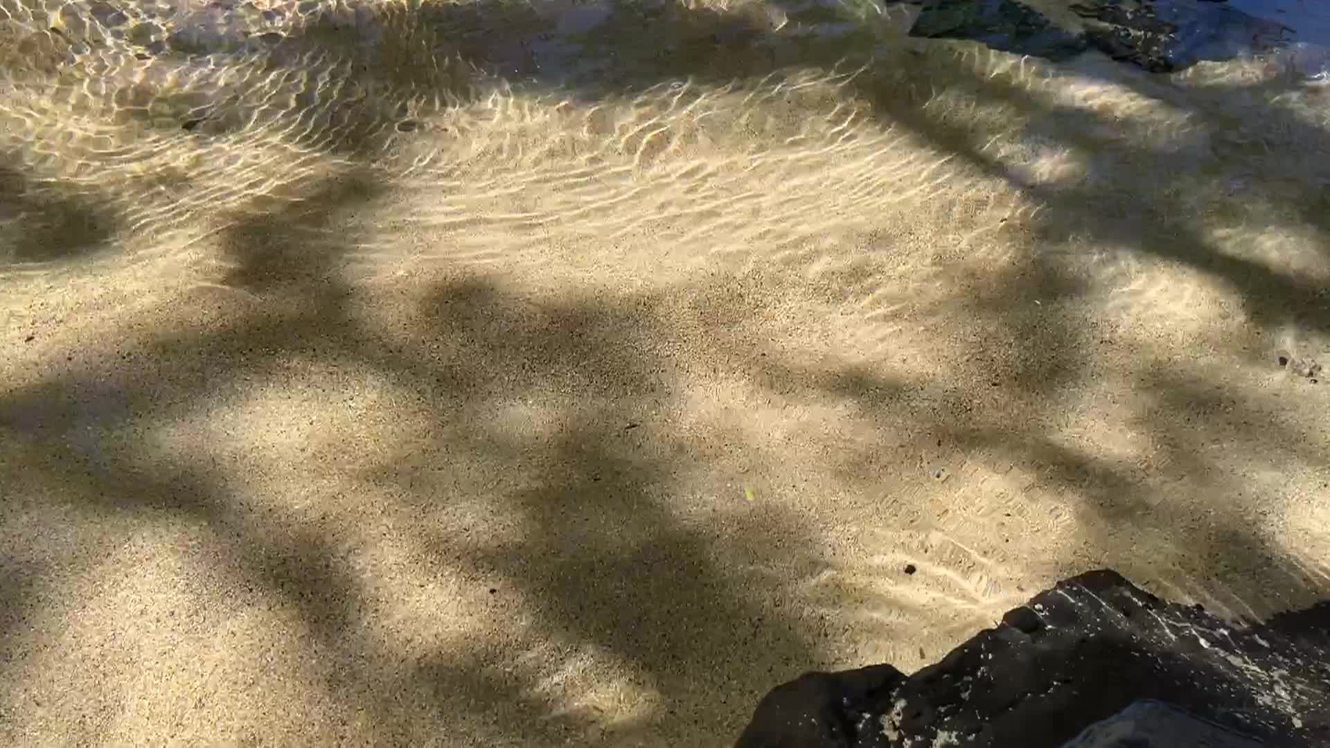 Just A Minute: Ep. 1