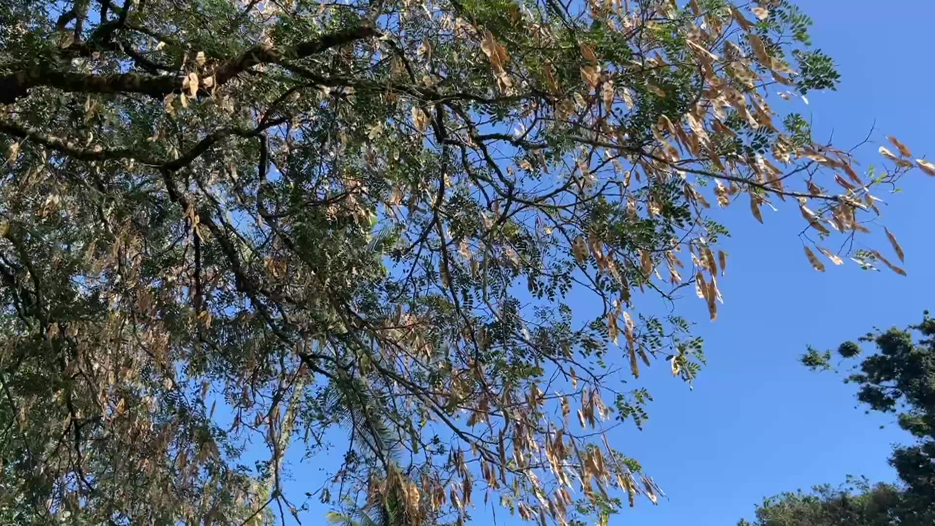 Just A Minute: Ep. 4