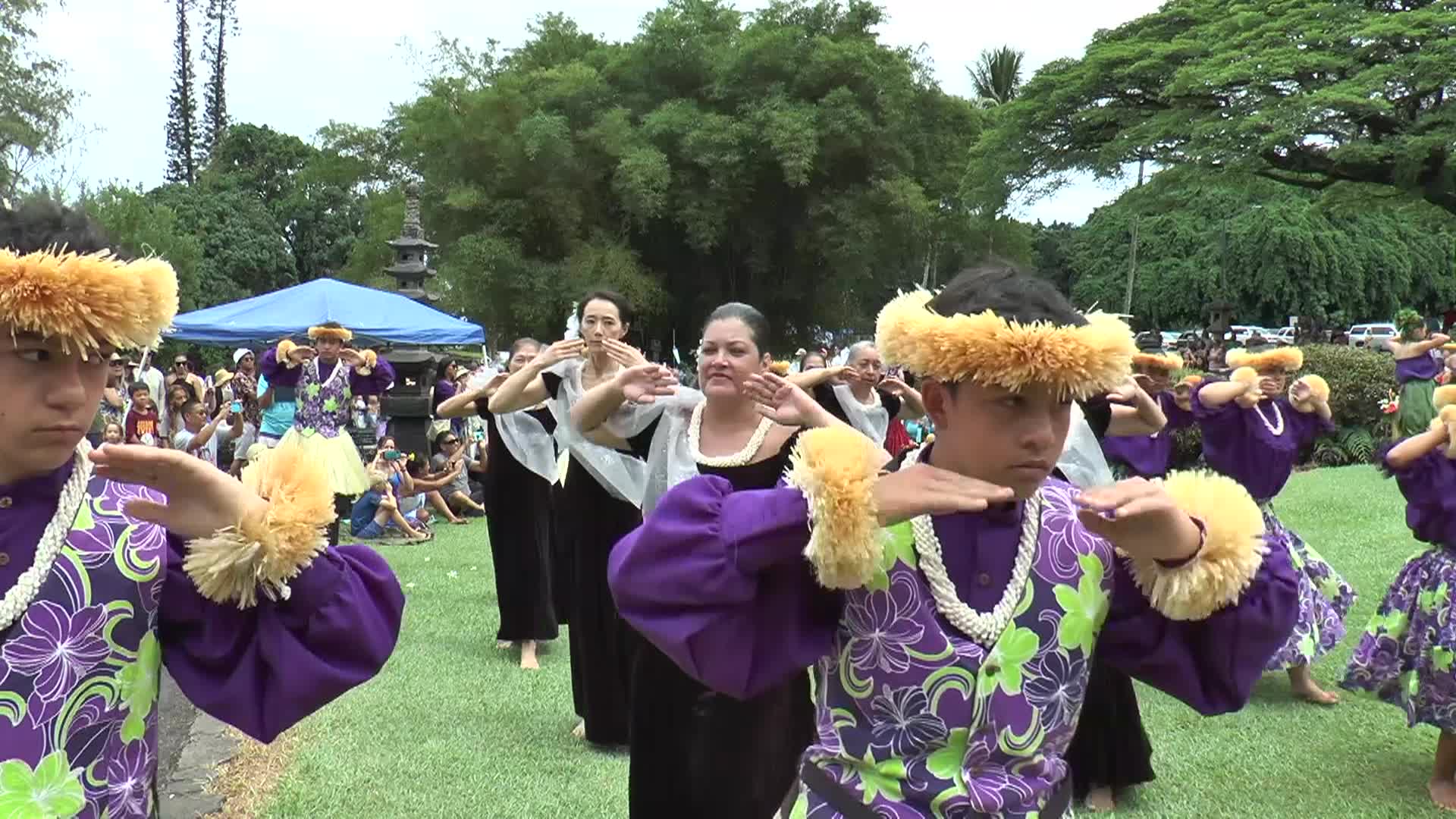 Hawaii 21: Hilo Colors