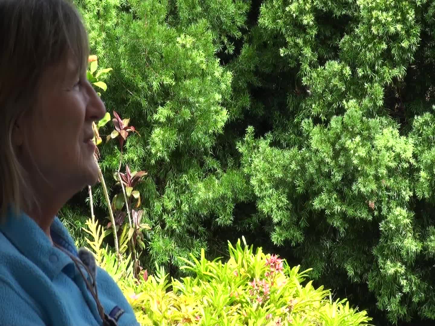 daVoice: Leadership - A Woman's Role